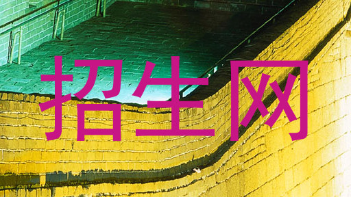 招生网