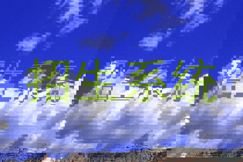 招生系统