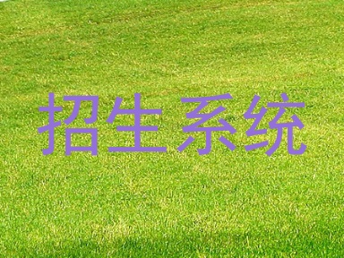 招生系统