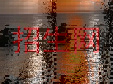 招生网