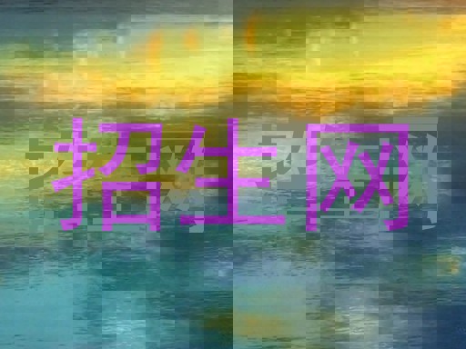 招生网