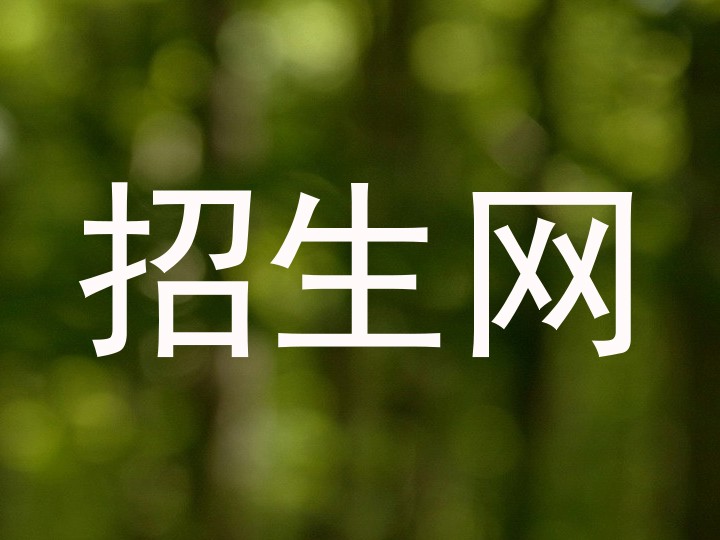 招生网