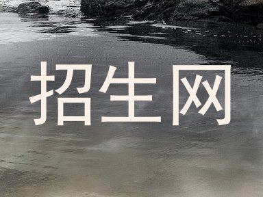 招生网