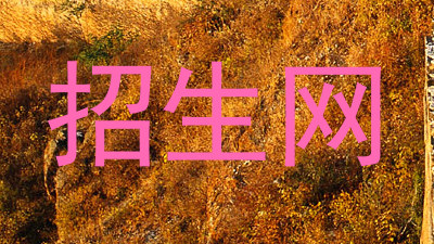招生网