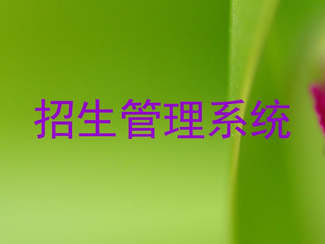 招生管理系统
