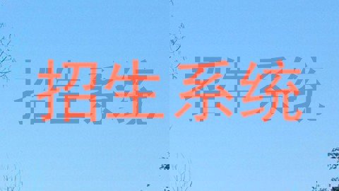 招生系统