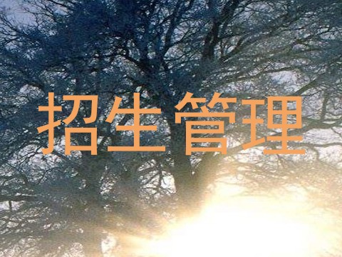 招生管理