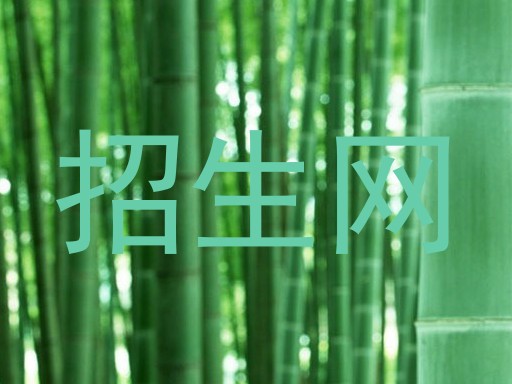 招生网