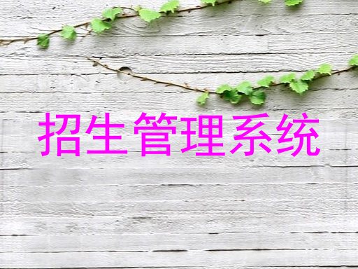 招生管理系统