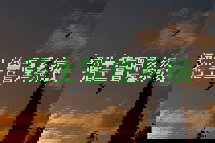 招生管理系统