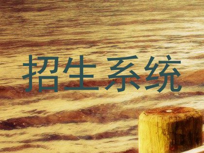 招生系统