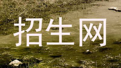 招生网