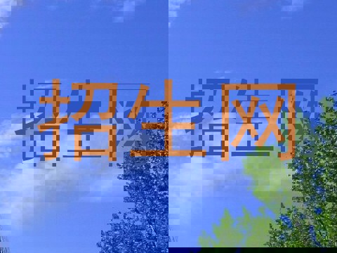 招生网