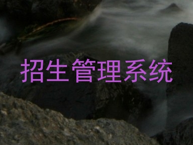 招生管理系统