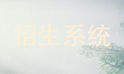 招生系统