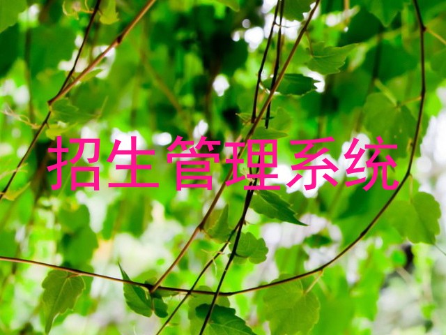 招生管理系统