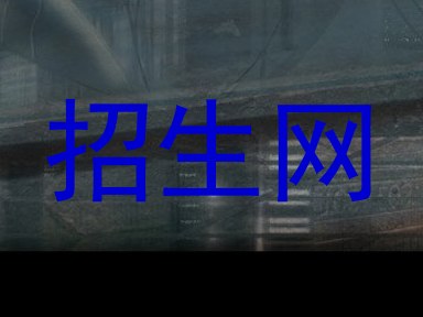 招生网