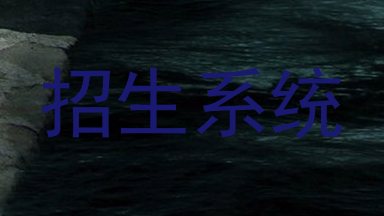 招生系统