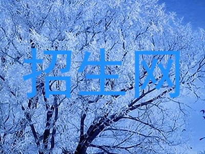 招生网