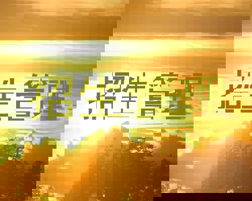 招生管理