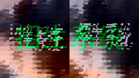 招生系统