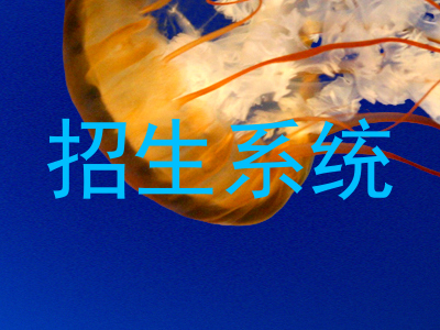 招生系统