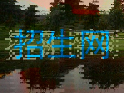 招生网