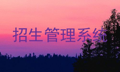 招生管理系统