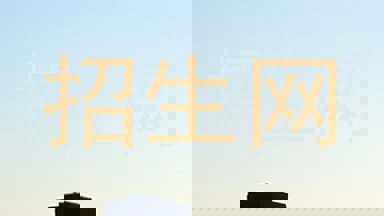 招生网