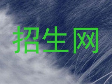 招生网