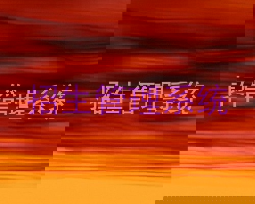 招生管理系统