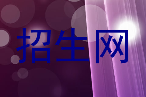 招生网