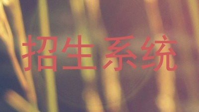 招生系统