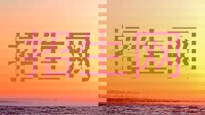 招生网