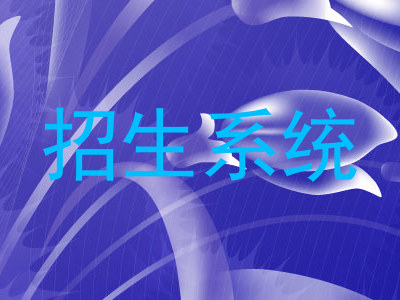 招生系统