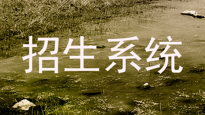 招生系统