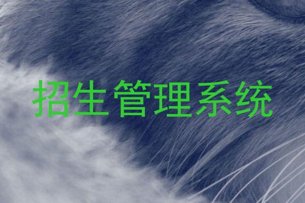 招生管理系统