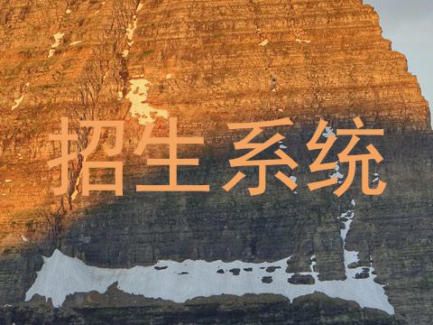 招生系统