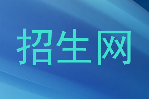 招生网