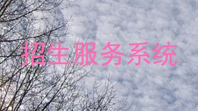 招生服务系统