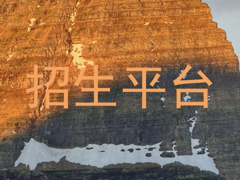 招生平台
