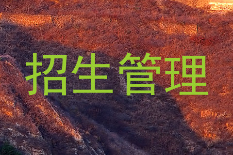 招生管理