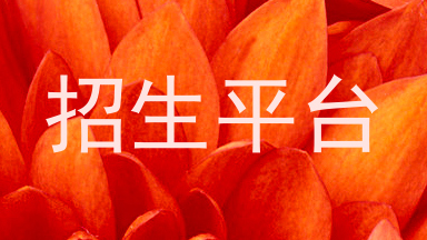 招生平台