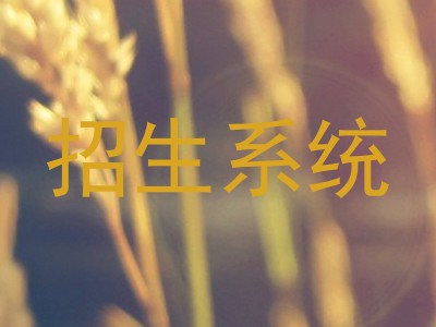 招生系统
