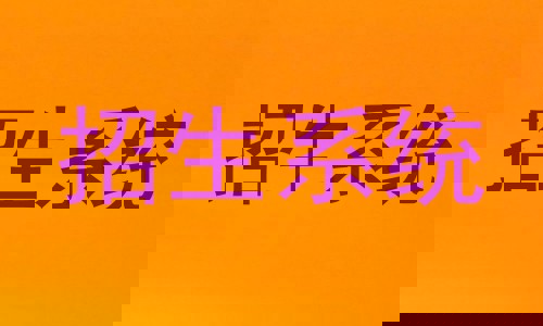 招生系统