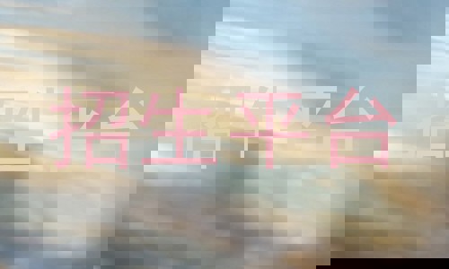 招生平台