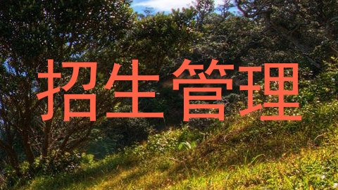 招生管理