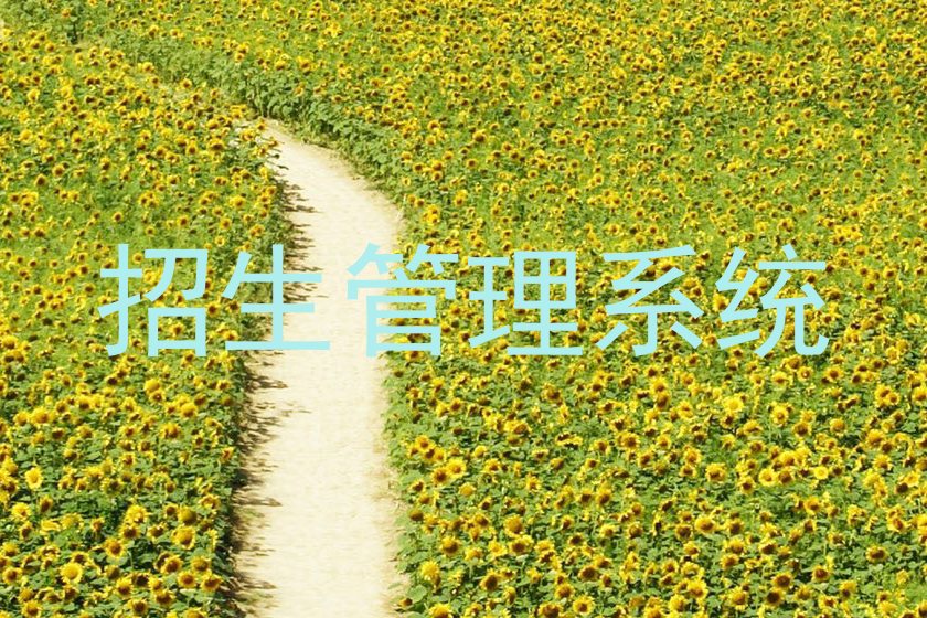 招生管理