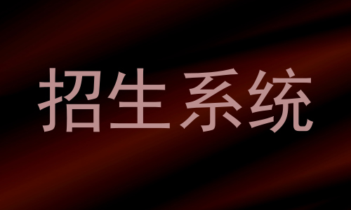 招生系统