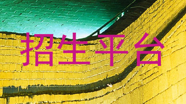 招生平台
